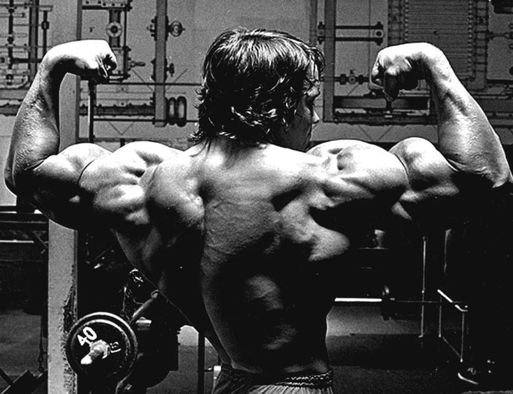 arnold schwarzenegger (1)